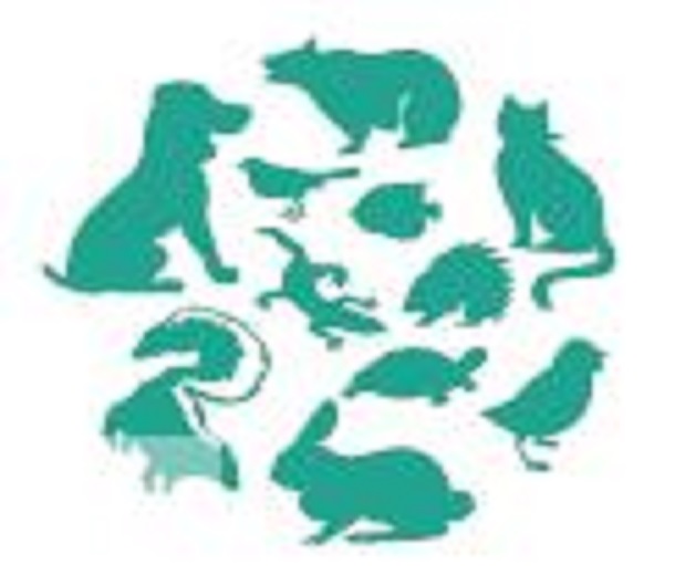 2023第4屆華東國際寵物用品展覽會暨中國寵業電商交易會